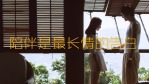 清新甜美森系爱情婚礼视频场景5缩略图