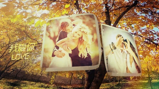 清新大自然婚礼照片展示相册场景5预览图