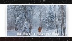 简洁唯美冬季节日旅游宣传展示场景11缩略图