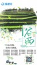 小清新二十四节气之谷雨宣传推广场景4预览图