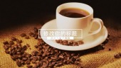 咖啡豆饮品促销宣传视频场景4预览图