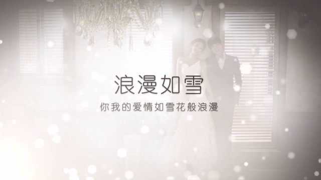 温馨浪漫婚礼视频模板场景2预览图