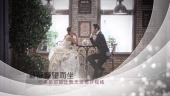 温馨浪漫婚礼视频模板场景9预览图