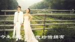 温馨炫酷浪漫婚礼相册展示视频场景53缩略图