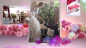 精美婚礼婚纱写真视频相册场景23预览图
