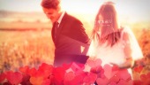 爱心转场浪漫婚礼视频模板场景9预览图